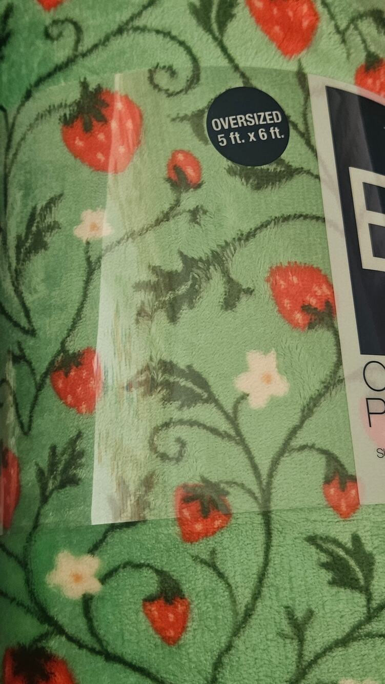 Large Oversized Super Soft Plush Throw Blanket 60 x 72 inches NWT Strawberries